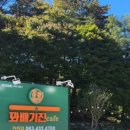 꽈배기진진안점