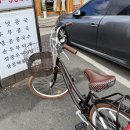 모라1주공 고가교 앞 인도 | 혼자 떠난 경주여행 - Day3 (뚜벅이🦿)