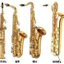 색소폰 1:1 개인레슨 이미지