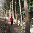주)본가식품 Daum카페