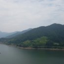 하동솔잎돼지 이미지