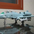 1/48 a-10 썬더볼트2 복좌형 (하비보스) 완성여~ 이미지