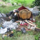 감청수병원 이미지