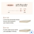 레이디가구 레브 데이베드 퀸 사이즈 내돈내산 후기