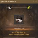 깃털동물상점