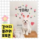 견생상점