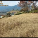 남산리 입석 이미지