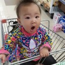 과일담꼬 | 강화도 스파, 수영장펜션 로맨틱큐브 가족여행으로 딱