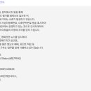 씨네블루밍