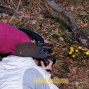 야생화길 이미지