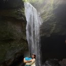 루카농장 이미지