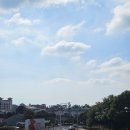 제주잇수다 - 제주시 노형로 336 | <2025 제주 잇수다> 후기, 정보