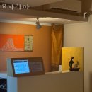 성북녹십자약국 | 요가라마 가격 후기