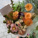 쁘렝땅플레르 이미지