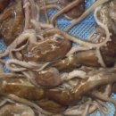 목포뻘낙지 이미지