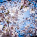 세종럭스스퀘어 이미지