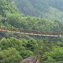 예치민박 이미지