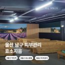 하루효소편백 | 울산 남구 피부관리 효소지음 아토피 효소찜질 방문 후기