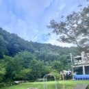 구움.피움 | <파주 초리포레스트> 계곡과 수영장을 즐길수 있는 당일 글램핑이 가능한 글램핑장 강추