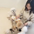 프롬몽쥬 이미지