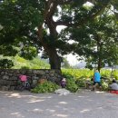 비룡경로당 이미지