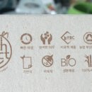 테라피즘