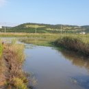 출포리 | 2021.09.03..대호만 여기저기..