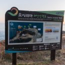 오랑대 | 애견동반 해돋이 부산 기장 오랑대