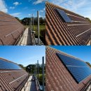 염소 태양광발전소 이미지