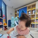 국공립아라금호어울림어린이집 | 서울 강서구청 인근 강서구 공동육아나눔터 2호점 후기