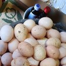 부성농장 이미지