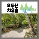오두산 치유숲 | 고성가볼만한곳 고성힐링체험 오두산 치유숲 산책길 무료개방 워크숍 대관도 가능해