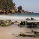 두리두리 이미지