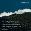 싸움(Fight) 이미지