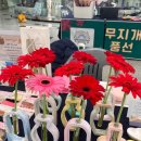 보령시청 | 보령 청년 지원사업 선정 후 첫 마켓｜보령시청 행사 참여 후기