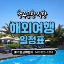 예주항공여행사 이미지