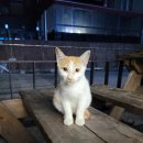 GS25 부경대연점 이미지