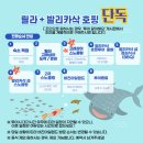 세명투어 네이버블로그