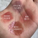 클리오 크리스탈 글램틴트 모던코랄베이지 내돈내산 후기🤎 웜톤립 꿀조합까지🤎 가을웜톤 봄웜톤 🤎