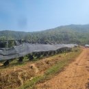 해마농장 이미지