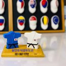 용인대덕양유도관 이미지