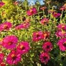 과역면사무소 이미지