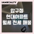 압구정엘약국 | 압구정 현대아파트 월세 전세｜압구정 현대1·2차 54평형 남향 한강뷰 매물