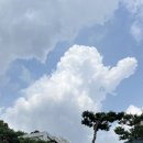 남양주 대형 카페 키스톤 스피시즈 방문 후기