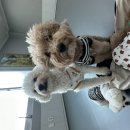 (킬링힐링)미묘한 견주생활 | 울산 애견카페 펫케어메이트 이용 시 반려견 컨디션 조절부터 에티켓까지 성공 전략