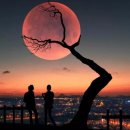 천사의 선물 이미지