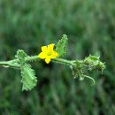 샛별도서관 이미지