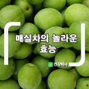 매실차의 놀라운 효능 이미지