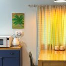 톨랑톨랑 이미지