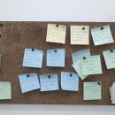 땡큐2운동화손빨래방 | 울산 언양 빨래방 추천 크린토피아 코인워시365 언양점 솔직 후기